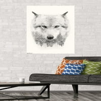 Wolf - Poster zida drveća, 22.375 34