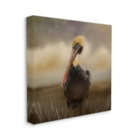 Stupell pelikan Oblačno priroda nebo divlje životinje životinje i insekti Galerija fotografije omotana platno