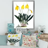 DesignArt 'Orchid Retro Flowers' Farmhouse Framed Art Print